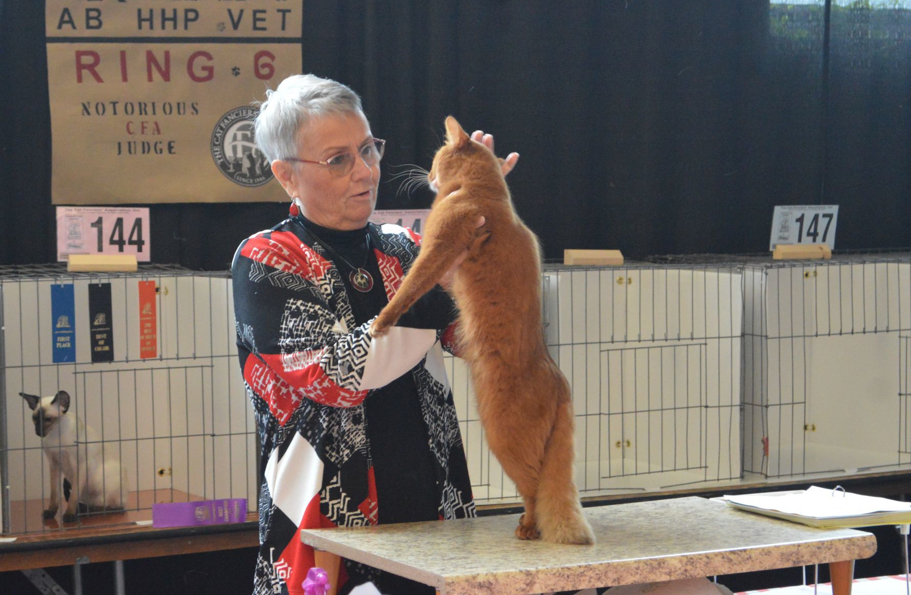 Longview Cat Show 2019